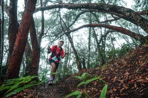 BIB: 
                            <button type="button" onclick="openModal(26343929)" class="btn btn-primary btn-sm float-right btn-popup" data-toggle="modal" data-target=".modal-high-quality">
                        <i class="fas fa-shopping-cart"></i> Add to Cart
                    </button>
                                            <button type="button" onclick="isThisMe(26343929, true)" class="btn btn-success btn-sm float-right btn-popup btn-isme hidden" data-toggle="tooltip" data-placement="bottom" title="นี่คือรูปของคุณใช่ไหม คลิกที่นี่เพื่อเอาเข้าอัลบั้ม">
                        <i class="fas fa-plus"></i> Add to album
                    </button>
                    <button type="button" onclick="isThisMe(26343929, false)" class="btn btn-warning btn-sm float-right btn-popup btn-isnotme hidden">
                        <i class="fas fa-ban"></i> Remove from album
                    </button>